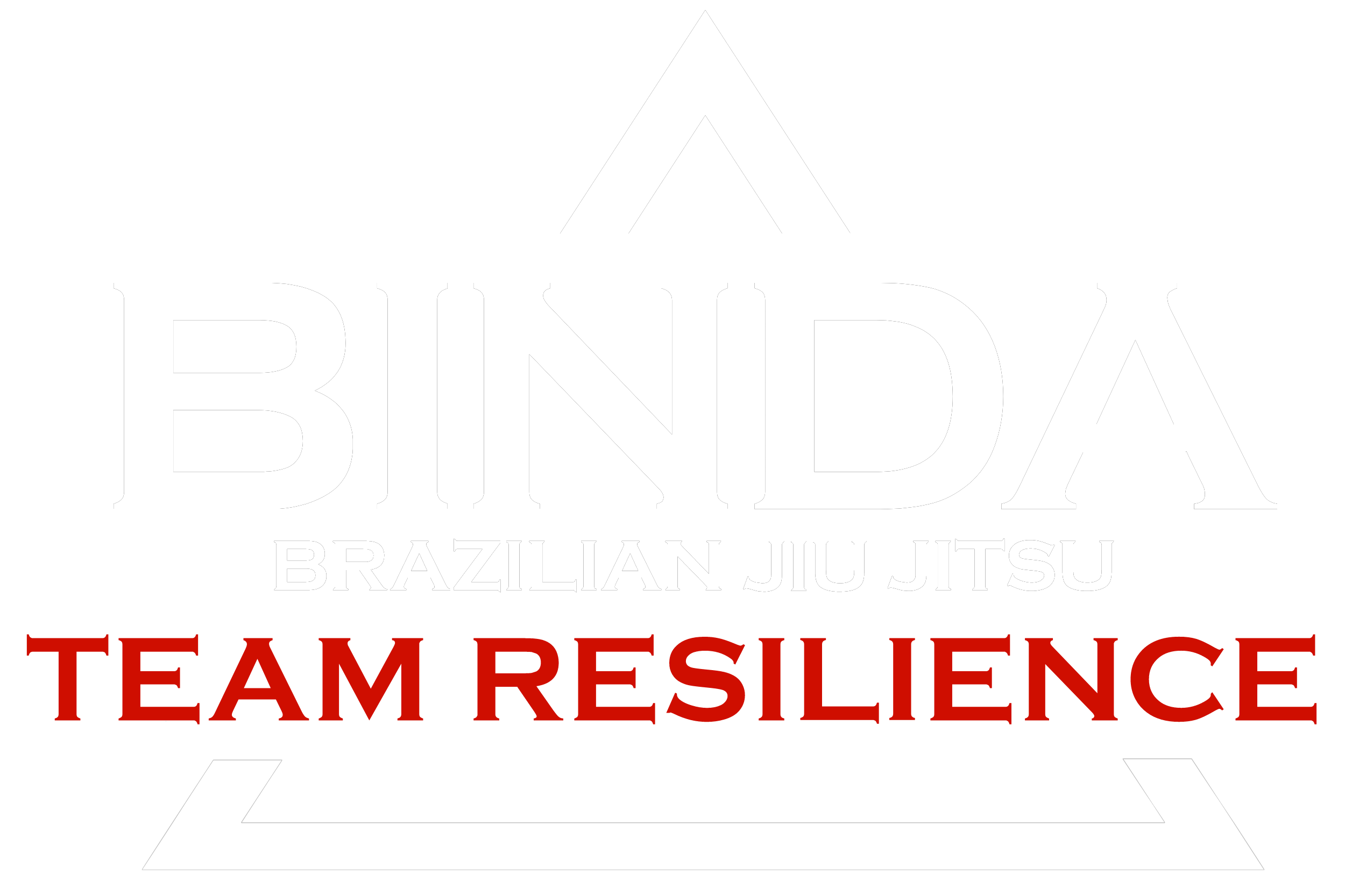 Binda Brazilian Jiu Jitsu: Team Resilience